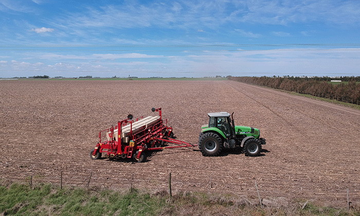 New pause in the process of planting sunflower and early corn |  ON24